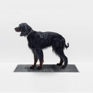 kurasyoppo_Max 600x1200