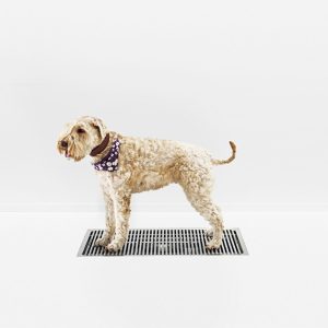 kurasyoppo_Midi, 500x800